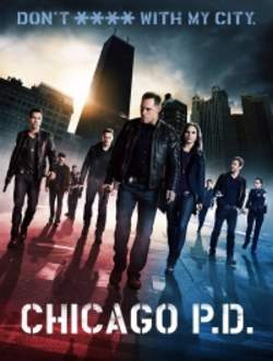 Полиция Чикаго 1-3 сезон